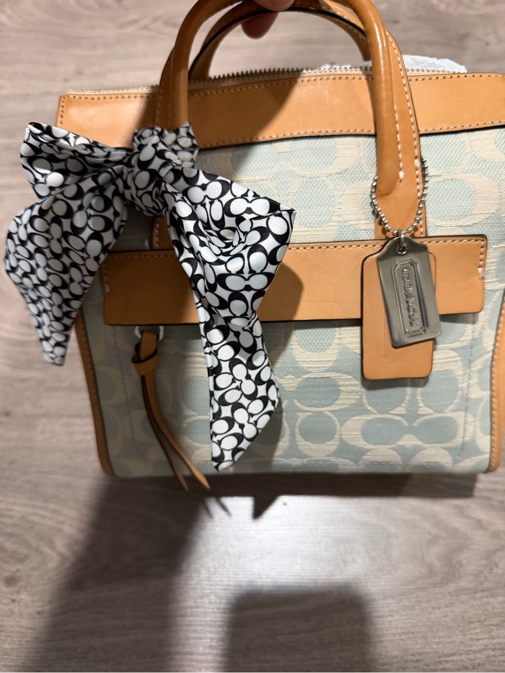 Coach Bleecker Mini Riley Carryall in a signature print with vachetta leather